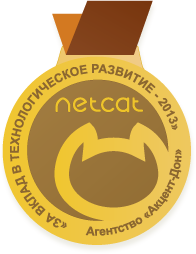 Медаль агентству Акцент-Дон за технологическое развитие Netcat в 2013 году